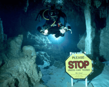 Screen Shot 2016-05-09 at 1.14.40 PM