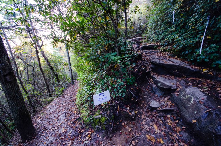 37436720305_a078c64833_o